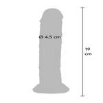 Clear Dong TPE 19 cm