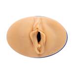 Itsxlilix Pornstar Pussy