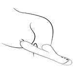 Pulse Rabbit Vibrator