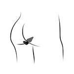 Luster Anal training Kit