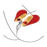 Heartbreaker 2-in-1 Stimulator