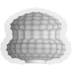 Mini Masturbator Block