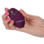 Remote Control Dual Rider