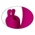 Foreplay Frenzy Bunny Kisser