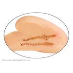 Stroke It Side Banger