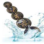 Butt Balls Booty Beads