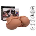 The Homecoming Queen