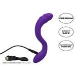 Pretty Little Wands Charmer