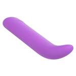Bliss Mini G-Spot Vibrator