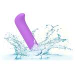 Bliss Mini G-Spot Vibrator