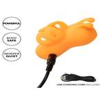 The Buzzing Vibrator