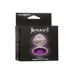 Jewel Small Amethyst Plug