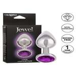 Jewel Large Amethyst Plug