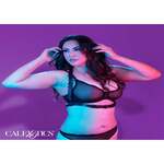 Halter Buckle Harness Plus