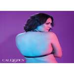 Halter Buckle Harness Plus