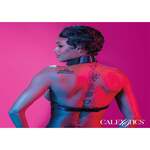 Chain Collar Harness