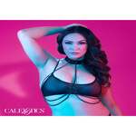 Chain Collar Harness Plus