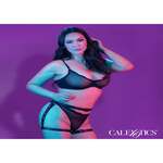 Riding Thigh Harness Plus