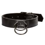 Collar With Chain Leash
