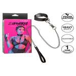 Collar With Chain Leash