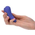 Calex Connect Panty Teaser