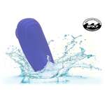 Calex Connect Panty Teaser