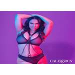 Multi Chain Harness Plus