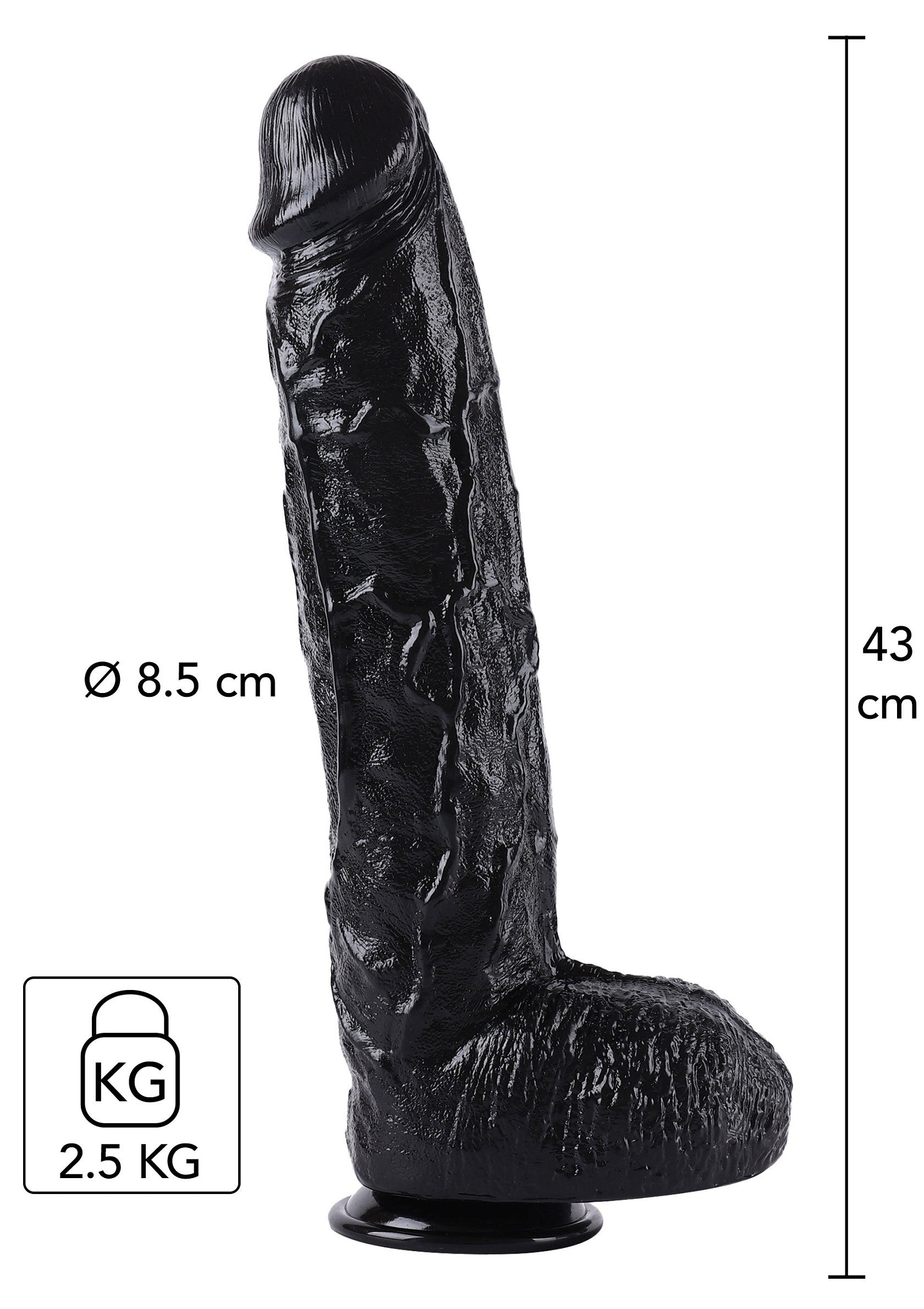 Dong 43 cm