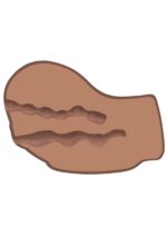 Hot Honey Rider Vibrating