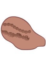 Big Ass Banger Vibrating