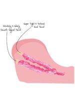 Upskirt College Slut