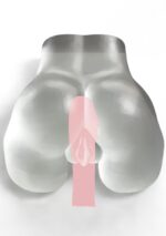 Clear Fuckable Pussy and Ass