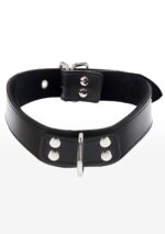 Elegant D-Ring Collar