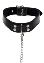 Elegant Collar and Chain Leash