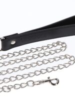 Elegant Collar and Chain Leash