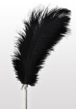 Feather Tickler