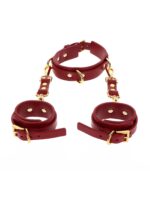 D-Ring Collar and Wrist Cuffs