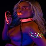 Collar and Chain Leash