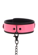 Collar and Chain Leash