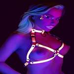 Open Cup Bra Harness