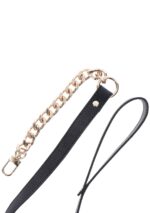 Statement Collar and leash