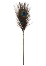 Peacock Tickler