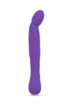 ACE Multi-Play Vibrator