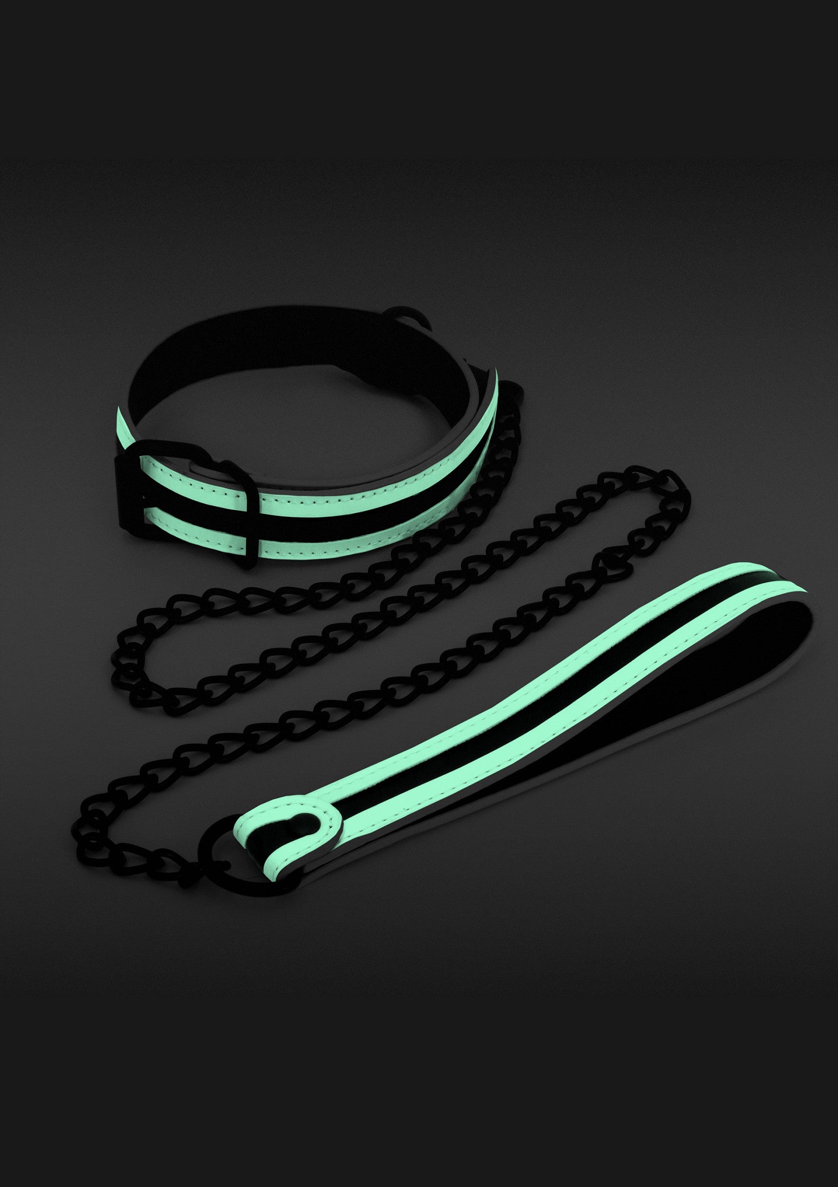 Glo Collar And Leash Glo Collar And Leash