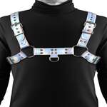 Cosmo Harness Dare