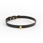 Cara Collar