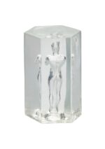 Guys Guys Guys David