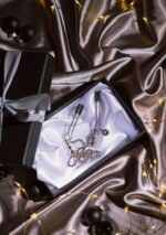 Chained Nipple Clamps