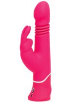 Thrusting Realistic Rabbit