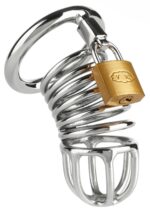 Ring Master Chastity Device